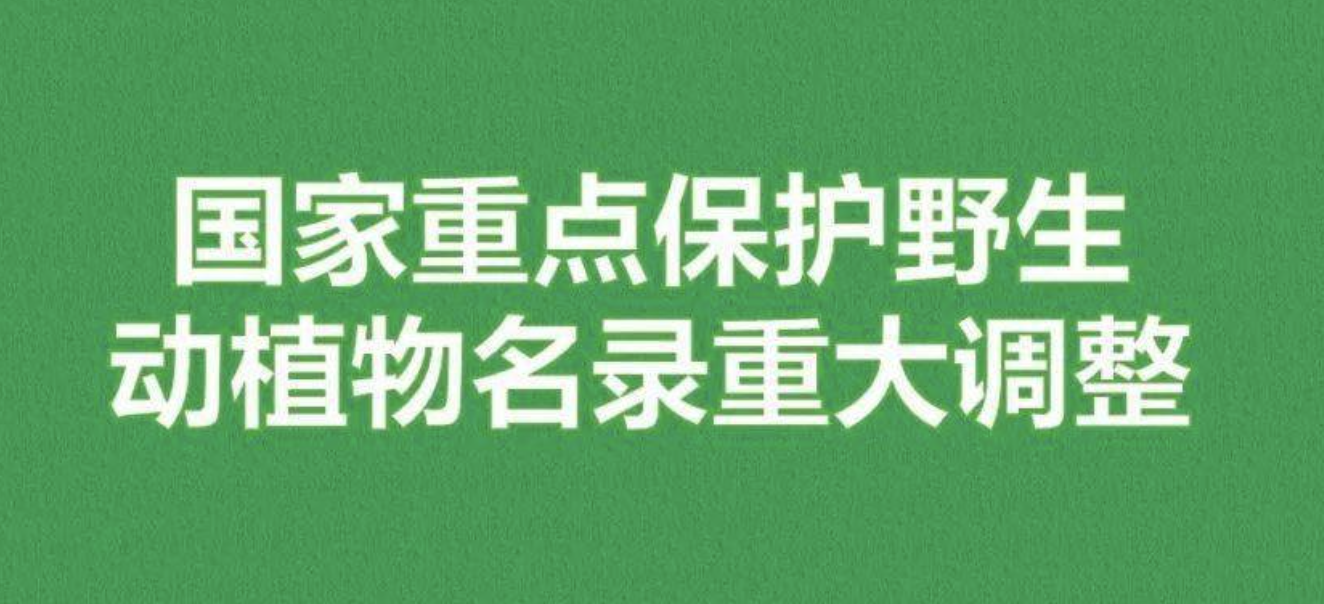 重磅！新版國(guó)家重點(diǎn)保護(hù)野生植物名錄公布，58種/屬列入一級(jí)保護(hù)，值得收藏